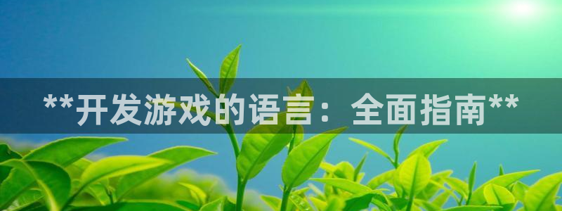 沐鸣娱乐2可靠吗：**开发游戏的语言：全面指南**